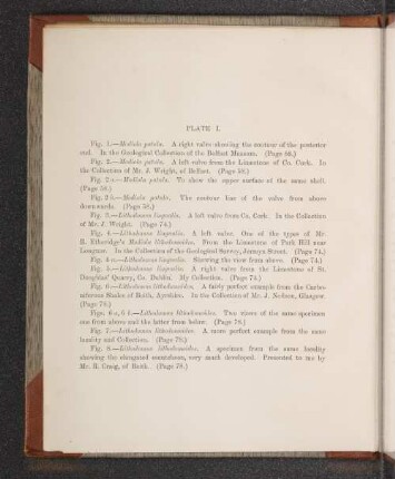 Plate I. - Plate LIV.