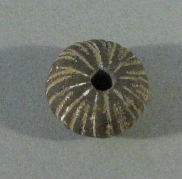 spindle whorl