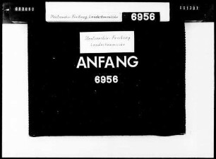Brand am 20. März 1930