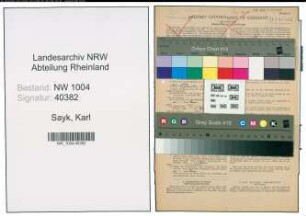 Entnazifizierung Karl Sayk , geb. 07.04.1890 (Heilgehilfe)