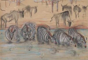 zebras in front of wildebeests