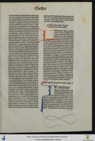 Liber hester