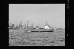 Hercules (1965), Neptun.- Dampfschifffahrts-Gesellschaft „Neptun“, Neptun Linie, D.G. "Neptun", Bremen