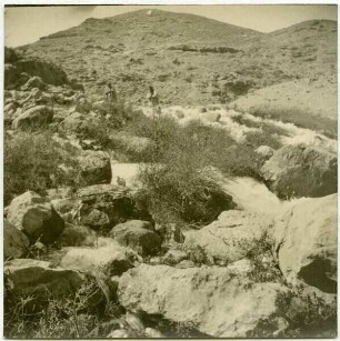 elfauwar [el-fauwar]