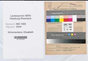 Entnazifizierung Elisabeth Schumeckers, geb. 08.02.1906 (Postobersekretaerin)