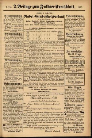 Dritte Ausgabe vom Samstag, den 19. Oktober 1895.