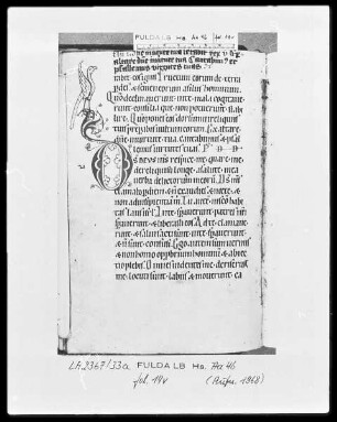 Psalterium cum Canticis — Initiale D (eus) mit Randausläufer in Vogelgestalt, Folio 14verso