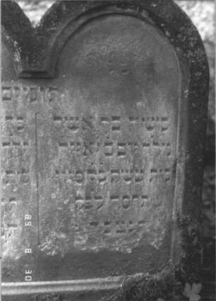 Grabstein 111 (Index: 99609747) Material: Sandstein Zustand: verwittert Maße HxBxT: 66x59x11 cm Beschreibung: Doppelstele für Zwillingsgeschwister (links: Fanny, rechts: Max), jeweils Rundbogenabschluß, Schriftfeld eingetieft, kein Mittelsteg Besonderheit: Doppelgrab für Zwillingsgeschwister; - Kindergrab: Grabstein 111A