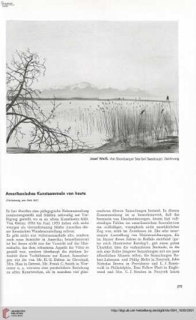 50: Amerikanisches Kunstsammeln von heute, [2]
