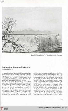 50: Amerikanisches Kunstsammeln von heute, [2]