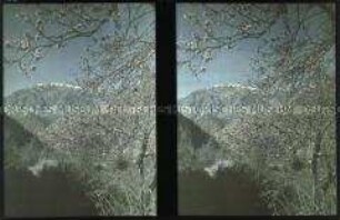 Blick über das Aconcagua-Tal in den Anden