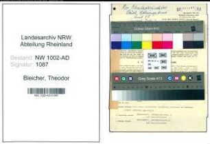 Entnazifizierung Theodor Bleicher, geb. 14.11.1899 (Sachbearbeiter)