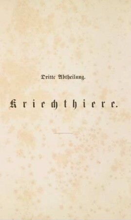 5: Illustrirtes Thierleben: eine allgemeine Kunde des Thierreichs. Fünfter Band. Dritte Abtheilung: Kriechtiere
