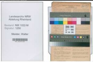 Entnazifizierung Walter Meister , geb. 02.10.1920 ()