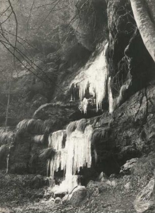 Eiskaskaden an einer Felswand (durch Sickerwasser im Sandstein entstanden) im Elbsandsteingebirge