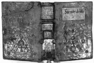Sermones - BSB Clm 4636