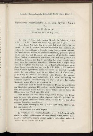 Coptolabrus constricticollis n. sp. vom Suyfun (Amur)