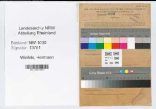 Entnazifizierung Hermann Wiefels, geb. 28.08.1896 (Apotheker)