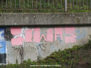 SOWAS