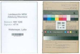 Entnazifizierung Lydia Weitemeyer , geb. 14.12.1908 (Stenotypistin)