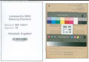 Entnazifizierung Engelbert Havestadt , geb. 19.02.1895 (Kaufmann)
