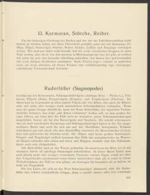 13. Kormoran, Störche, Reiher