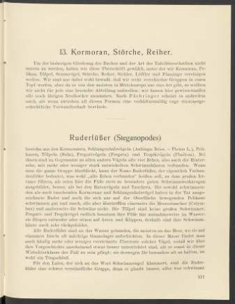 13. Kormoran, Störche, Reiher