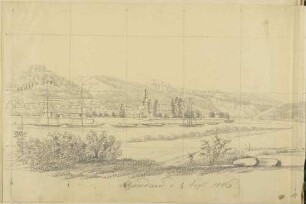 Bad Schandau in der Sächsischen Schweiz, Blick vom linken Elbufer, mit Booten