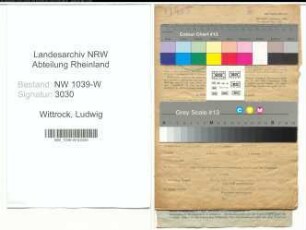 Entnazifizierung Ludwig Wittrock , geb. 02.03.1906 (Ingenieur)