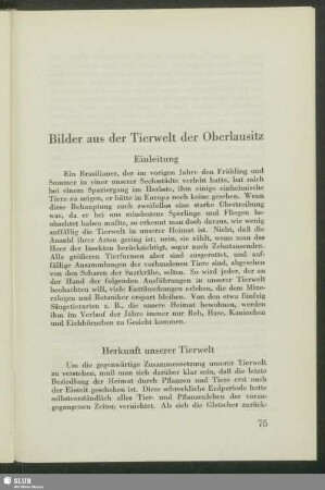 Bilder aus der Tierwelt der Oberlausitz