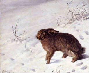 Hase im Schnee