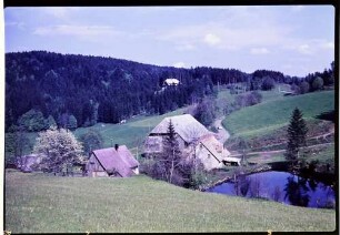 Hinterzarten: Schwarzwaldhof mit Kapellchen, von oben mit Weiher