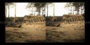 Unterstand im Wald