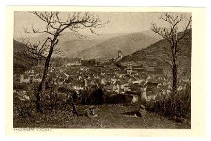 Nr. 14: Kaysersberg i.d.Vogesen