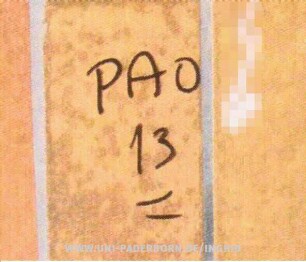 PAO 13
