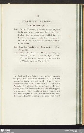 Rostellaria Pes-Pelcani. Tab. DLVIII.—fig. 1