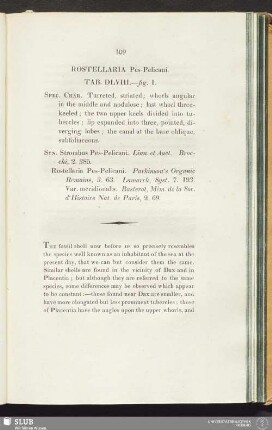 Rostellaria Pes-Pelcani. Tab. DLVIII.—fig. 1