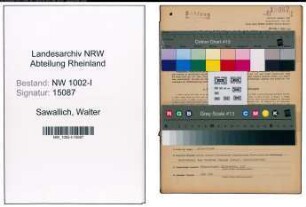 Entnazifizierung Walter Sawallich, geb. 12.07.1900 (Abtl.Leiter)