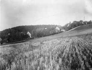 Erlau-Kleinmilkau, Ortsteilansicht : Erlau-Kleinmilkau. Blick Richtung Häuser auf der Lehde
