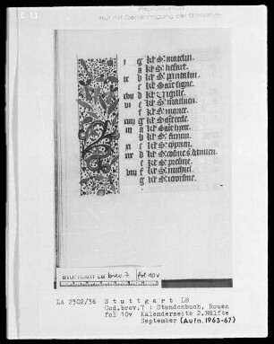 Lateinisch-französisches Stundenbuch (Livre d'heures) — Teilbordüre, Folio 10verso