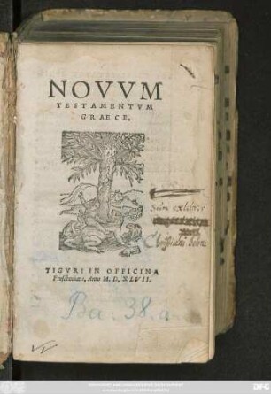 NOVVM || TESTAMENTVM || GRAECE.||