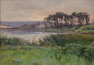 Holsteinischer Waldsee