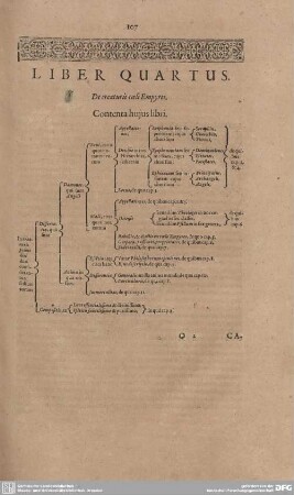 Liber Quartus. De creaturis coeli Empyrei.