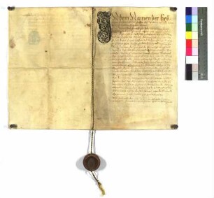 Verzichtbrief Kunigunde Mariens von Sternenfels