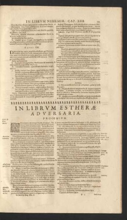 In Librum Estherae Adversaria