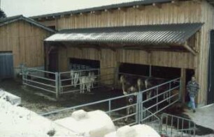 Fotografie: Fütterung, Futtervorlage, Fressbereich, Laufhof