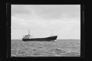 Gabbro (1972)