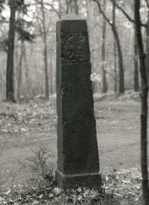 Grenzsäule : Grenzsäule (Grenzfestlegung gemäß Wiener Kongreß). Stein (1818). Preußische Seite (bezeichnet KP 24). Schildau (Kreis Torgau), am Schildberg