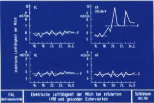 Elektrische Leitfähigkeit der Milch bei infiziertem (VR) und gesunden Eutervierteln