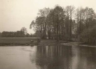 Lausitzer Tiefland. Aue der Schwarzen Elster bei Hoske, südlich Wittichenau